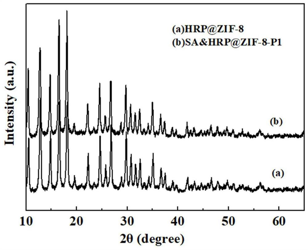 Preparation method and application of aptamer-functionalized horseradish peroxidase@metal-organic framework materials