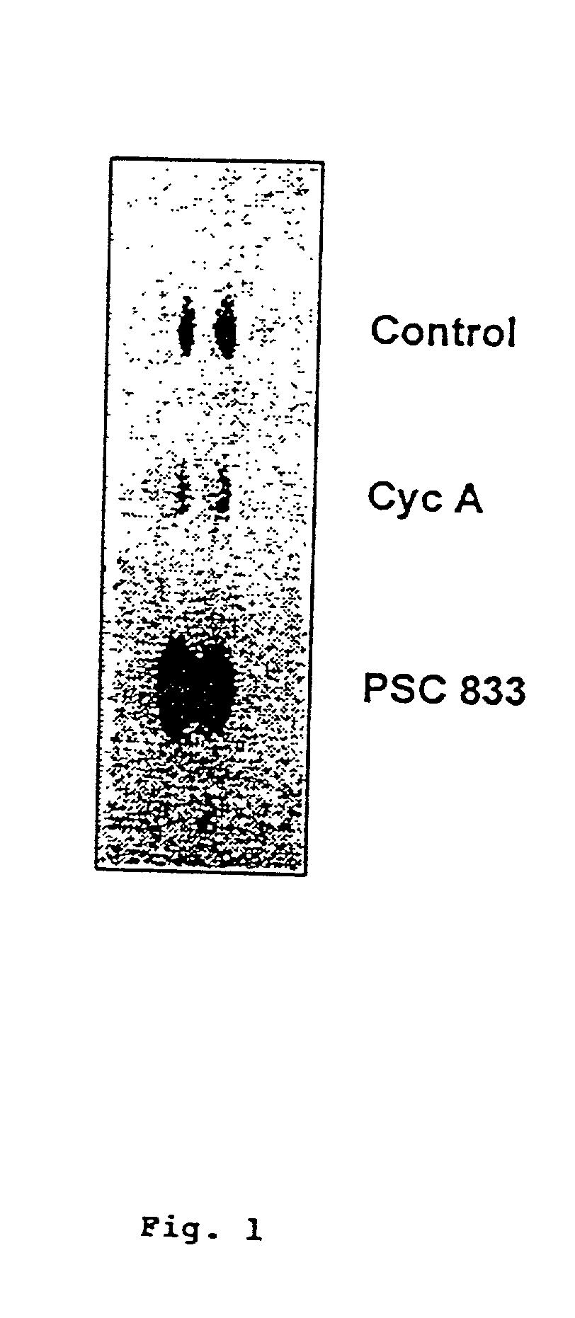 Methods for screening therapeutically effective agents