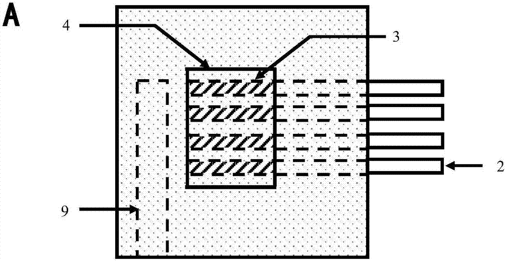 High-efficiency nondestructive identification method for edible oil doped with less illegal cooking oil