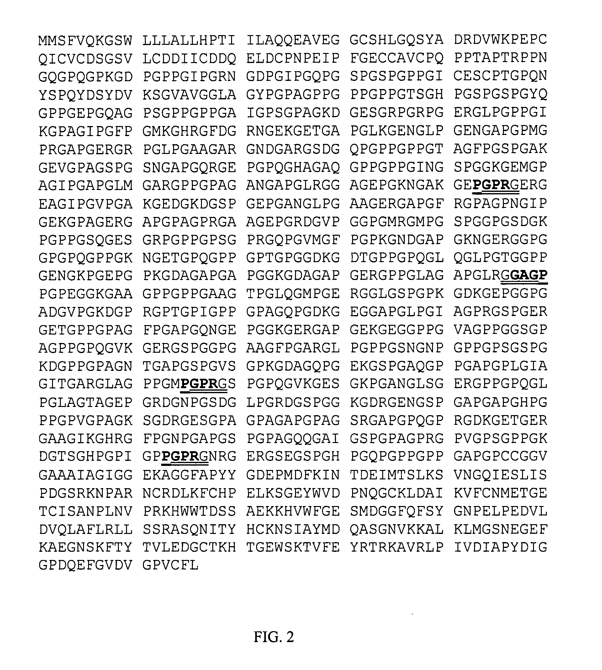 Peptide fragments for inducing synthesis of extracellular matrix proteins