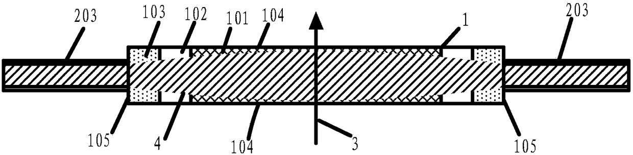 A laser gain chip, laser component, power amplifier and oscillator