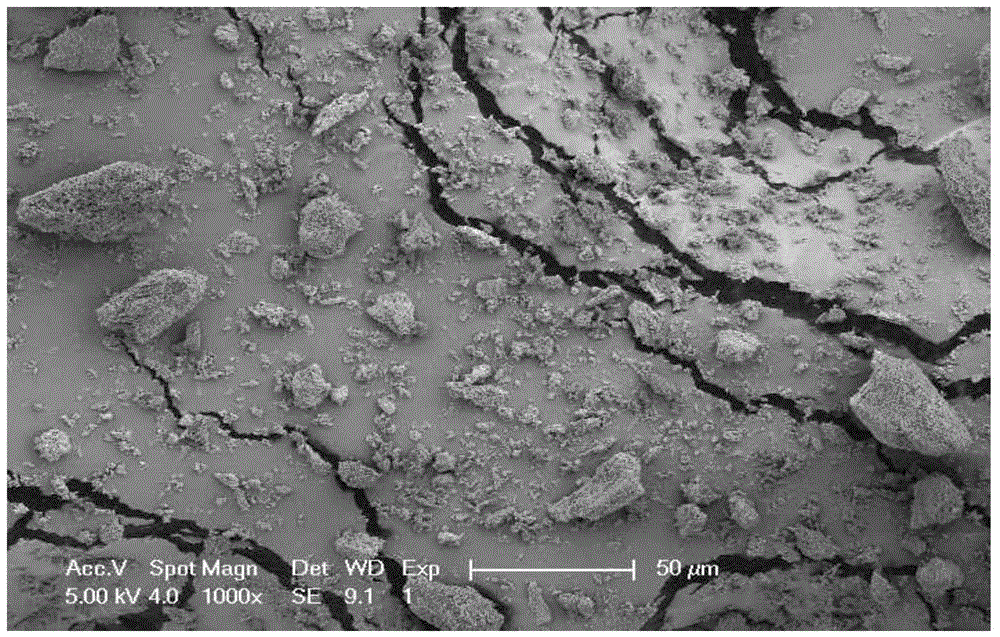 Ultrafine powder of HMG-CoA reductase inhibitor and preparation method of ultrafine powder