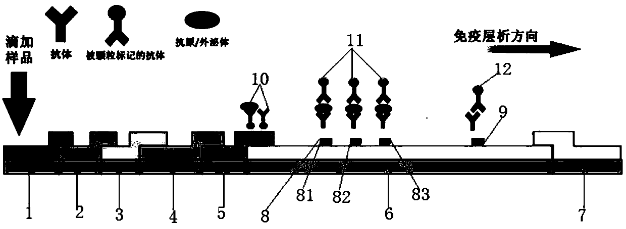 Exosome protein for osteosarcoma diagnosis and instant detecting method thereof