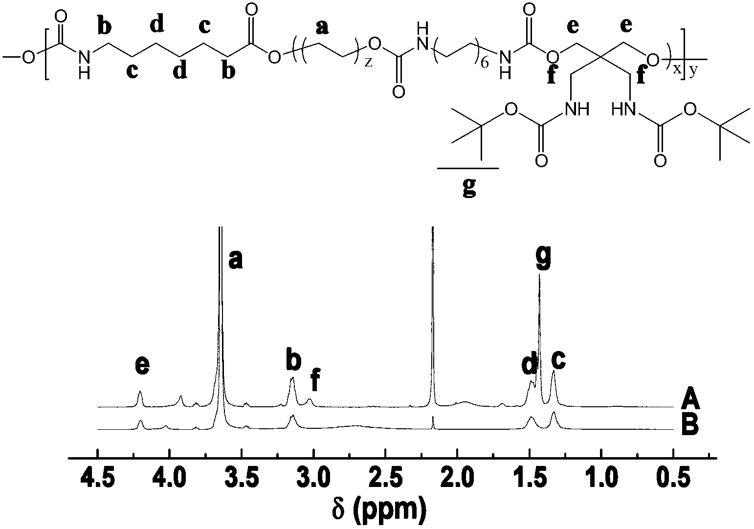 Biodegradable polyurethane with amino on side chain and preparation method and application thereof