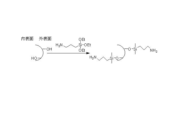 Synthesis and application of restricted access filler having inner surface with inverting performance