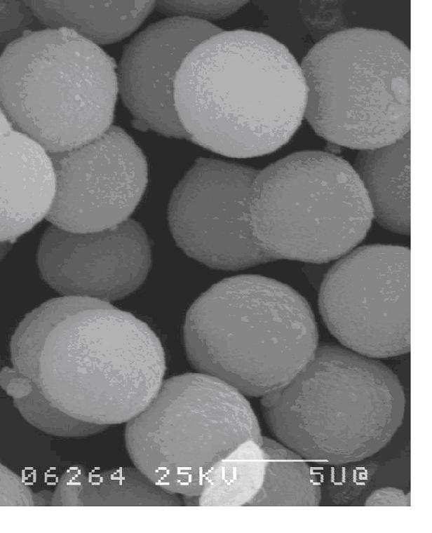 Synthesis and application of restricted access filler having inner surface with inverting performance