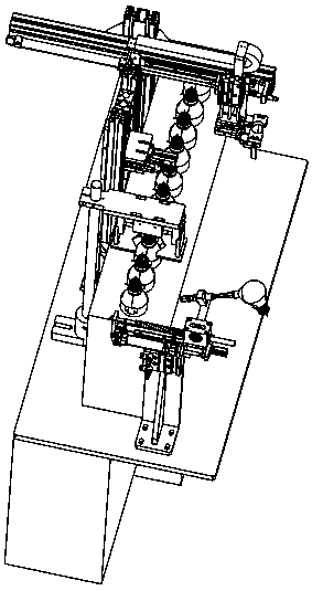 Automatic bulb detection device