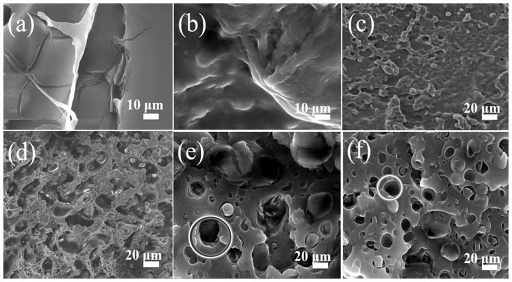 Toughened polylactic acid composite material and preparation method thereof