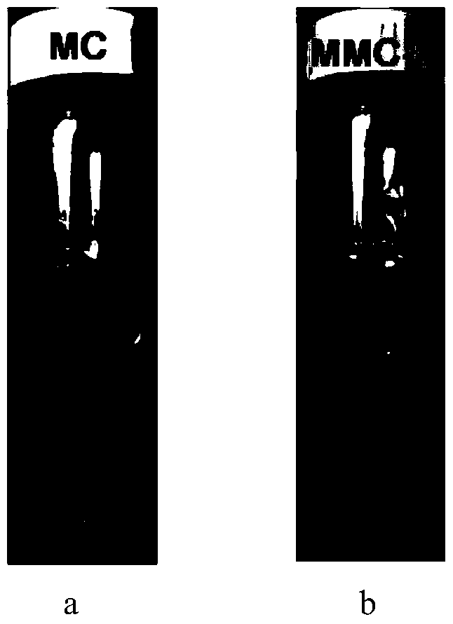 Hydrophilic modification method of methyl cellulose