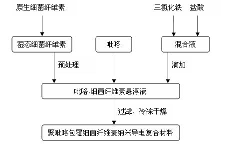 Method for preparing polypyrrole coated bacterial cellulose nanometer electric-conduction composite material by utilizing bacterial cellulose as template