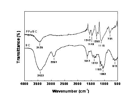 Method for preparing polypyrrole coated bacterial cellulose nanometer electric-conduction composite material by utilizing bacterial cellulose as template