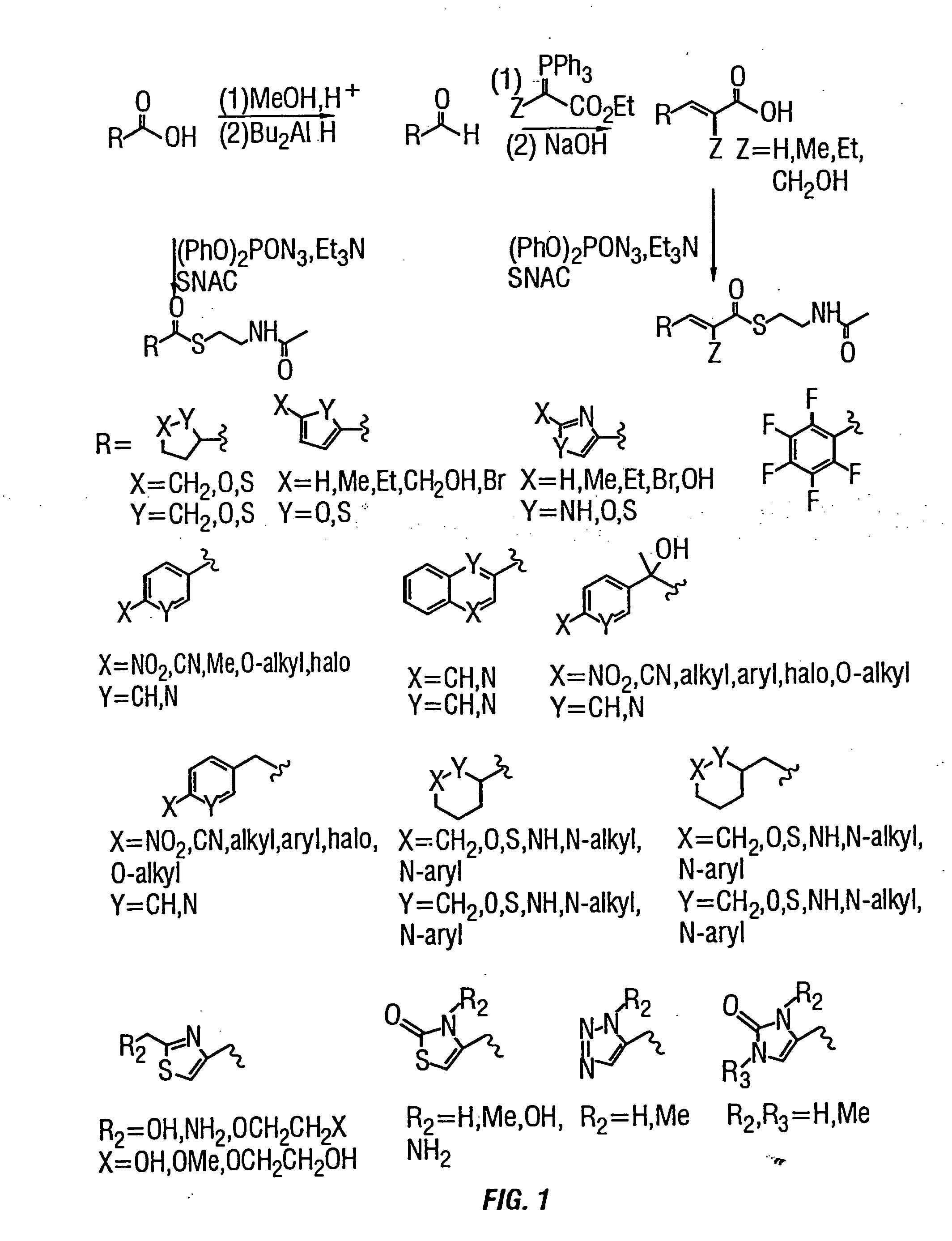 Production of polyketides