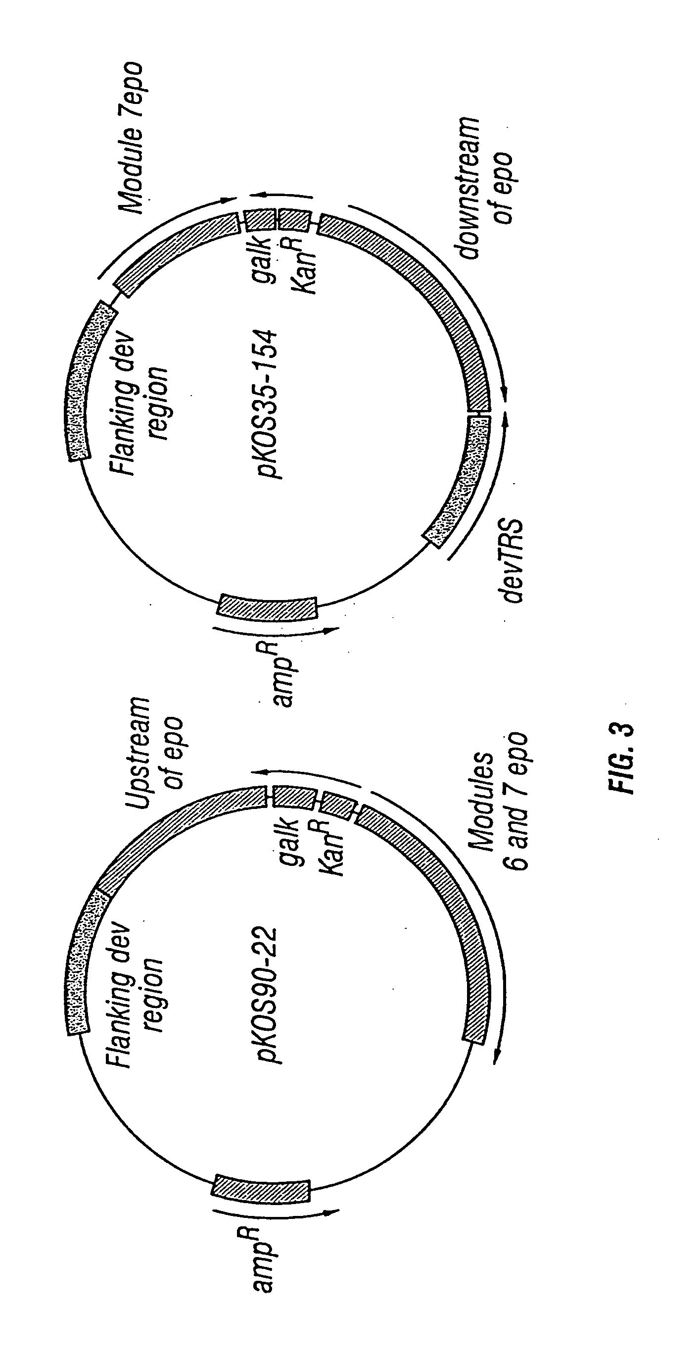 Production of polyketides