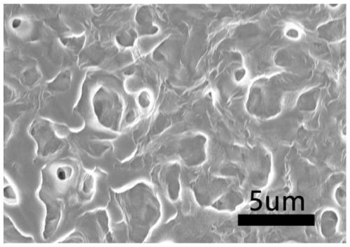 Gel electrolyte film for secondary battery as well as preparation and application of gel electrolyte film