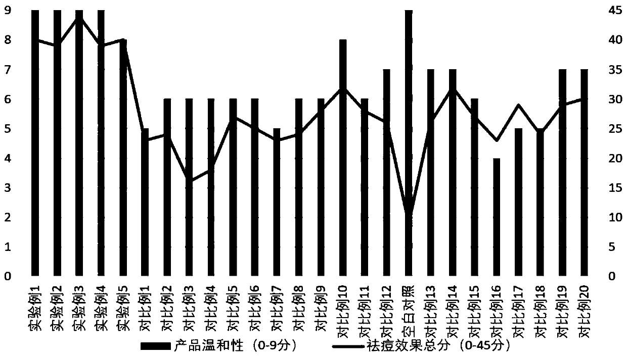 Mild sebum controlling acne removing composition and preparation method thereof