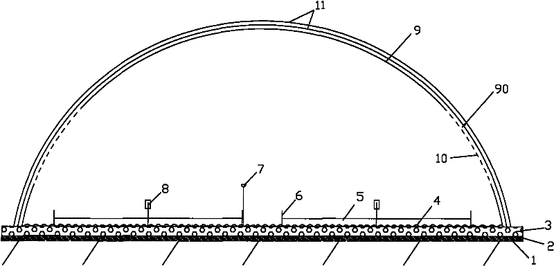 Cultivation method of dendrobium candidum