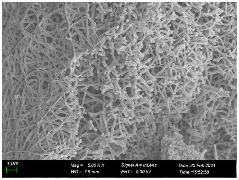 Preparation method of carbon nanotube-loaded titanium oxide photocatalyst