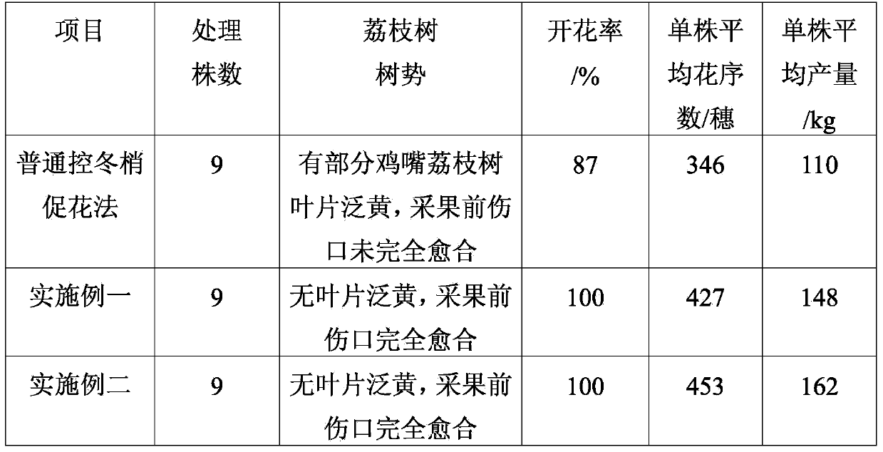 Method for controlling winter twigs and promoting flowers of lichee trees