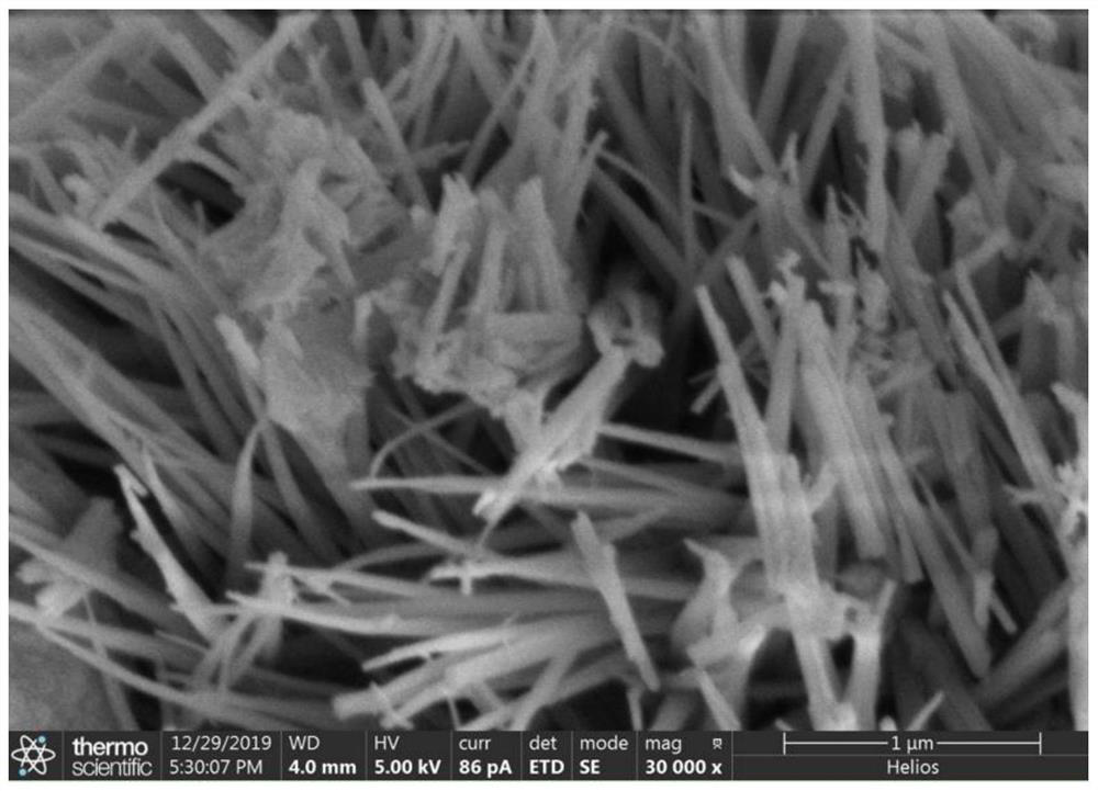 Application of sea urchin-shaped cobalt-based photocatalyst in synthesis of benzoazacycle by converting CO2