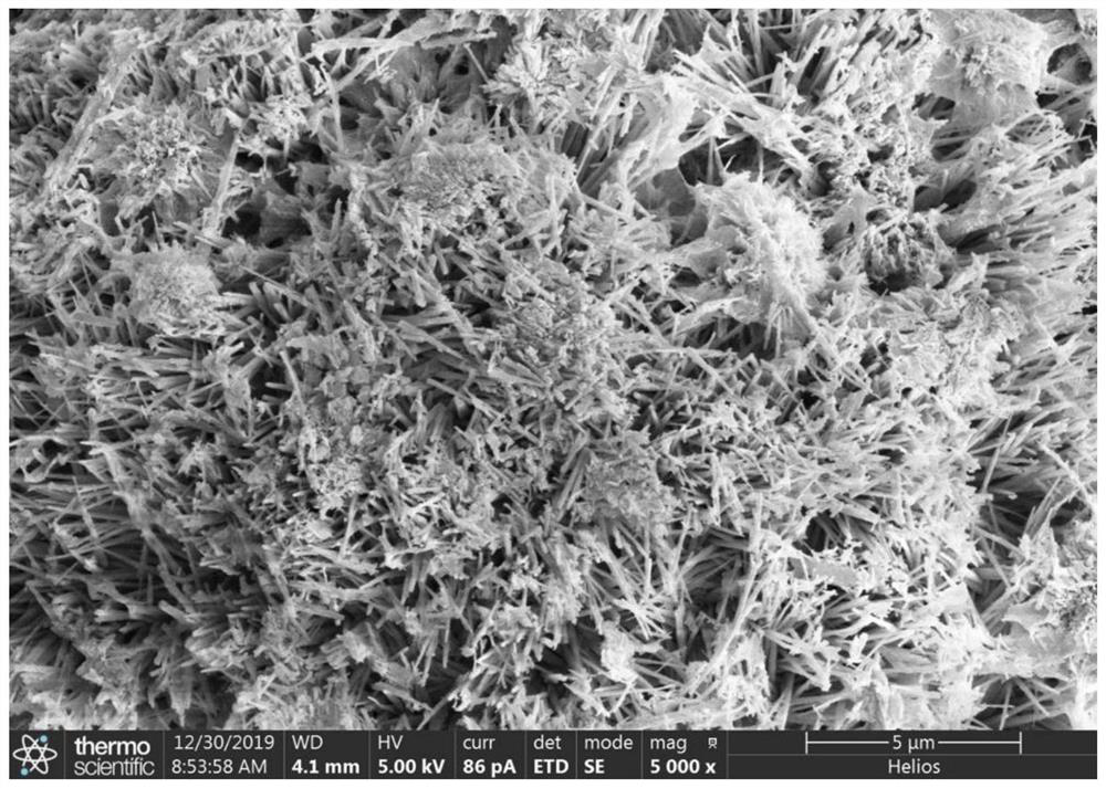 Application of sea urchin-shaped cobalt-based photocatalyst in synthesis of benzoazacycle by converting CO2