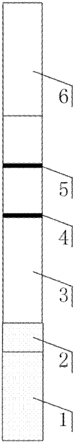 Up-conversion fluorescent/magnetic nanoparticles-based immune-chromatographic test paper and making method thereof