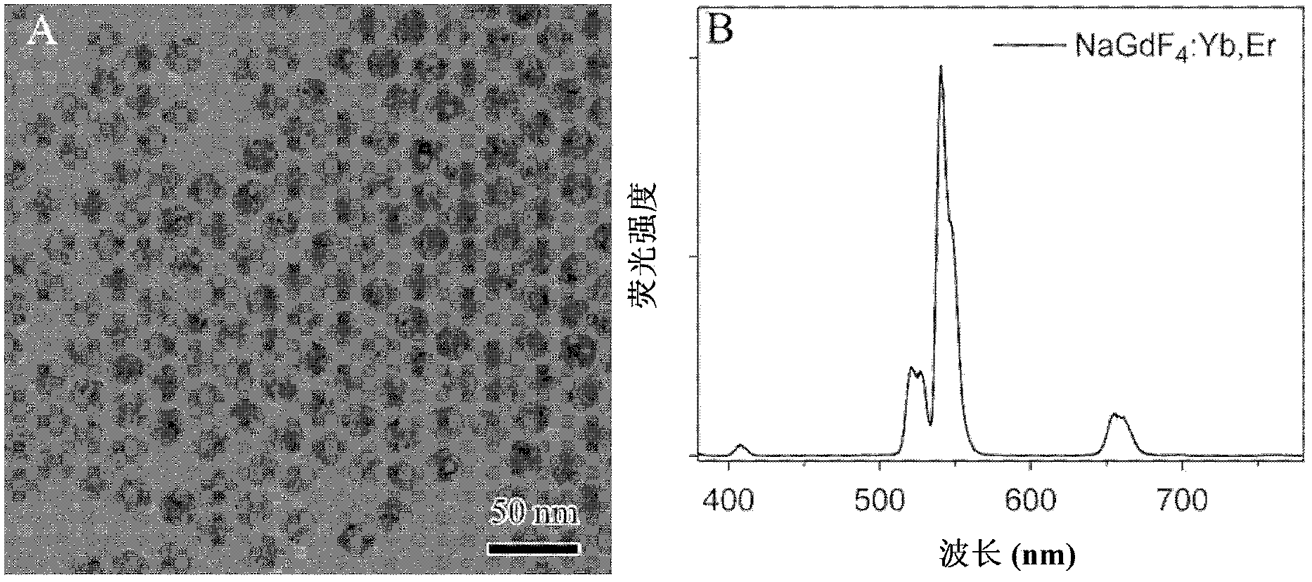 Up-conversion fluorescent/magnetic nanoparticles-based immune-chromatographic test paper and making method thereof