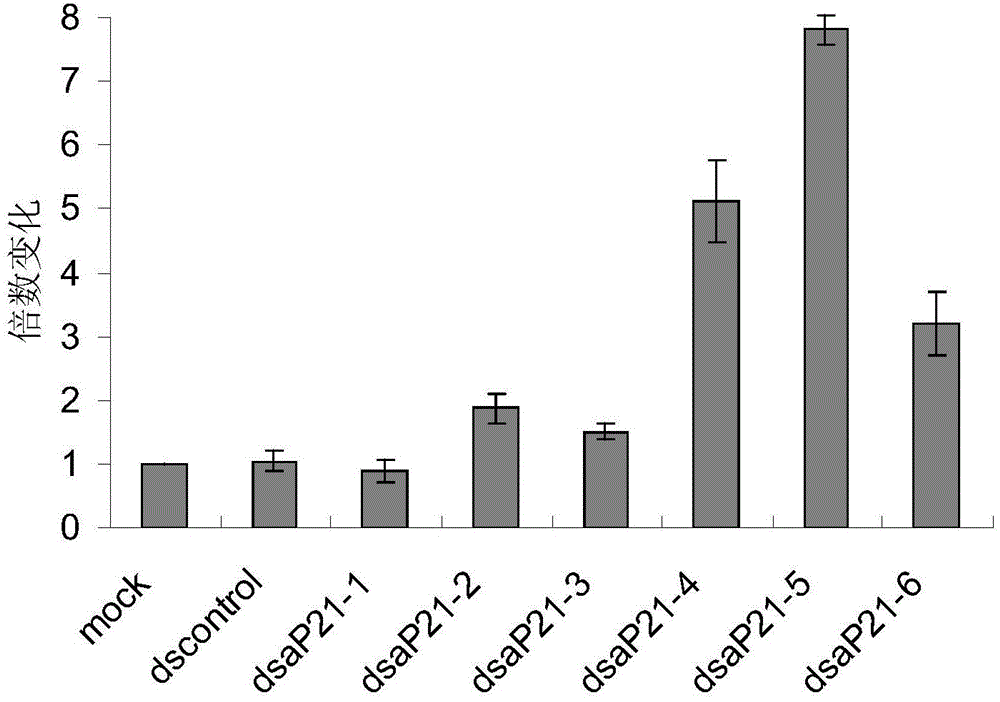 Small-activating RNA, preparation method and applications thereof