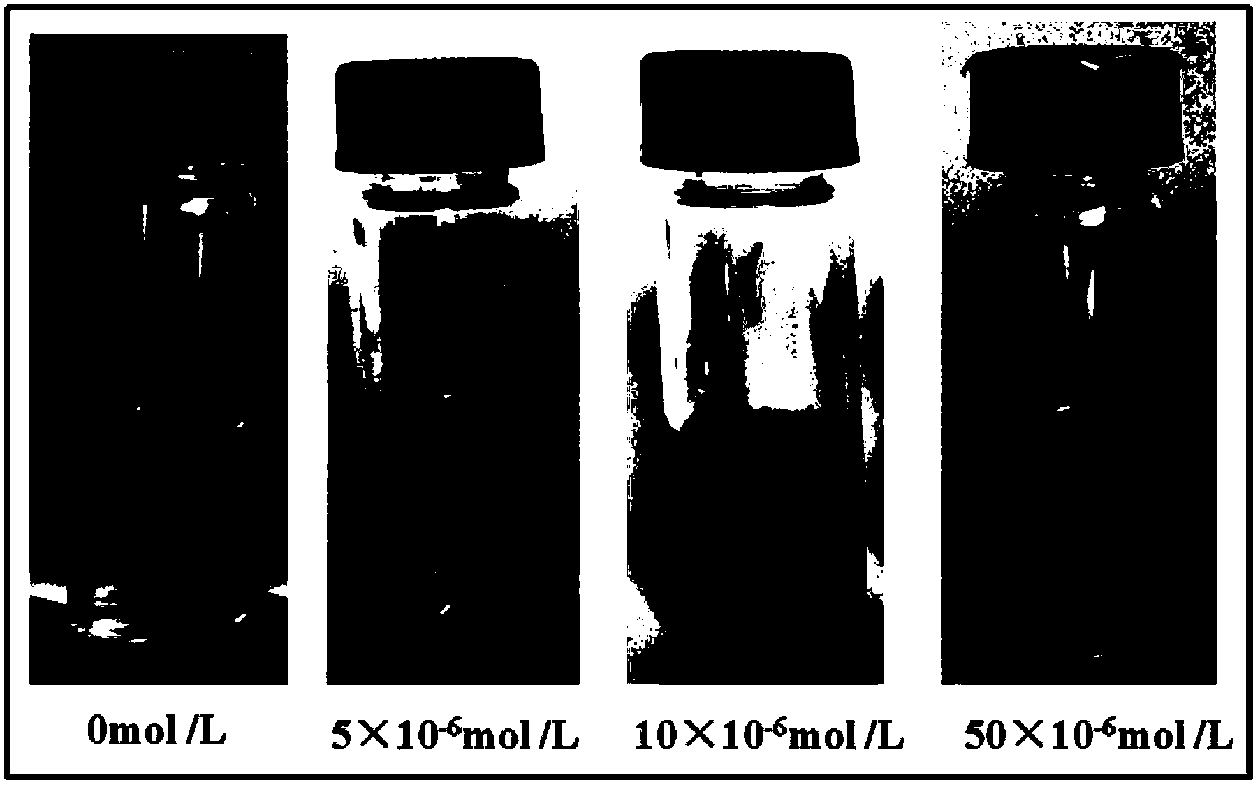 Detection method for trinitrotoluene (TNT) existing in different states by using colorimetry