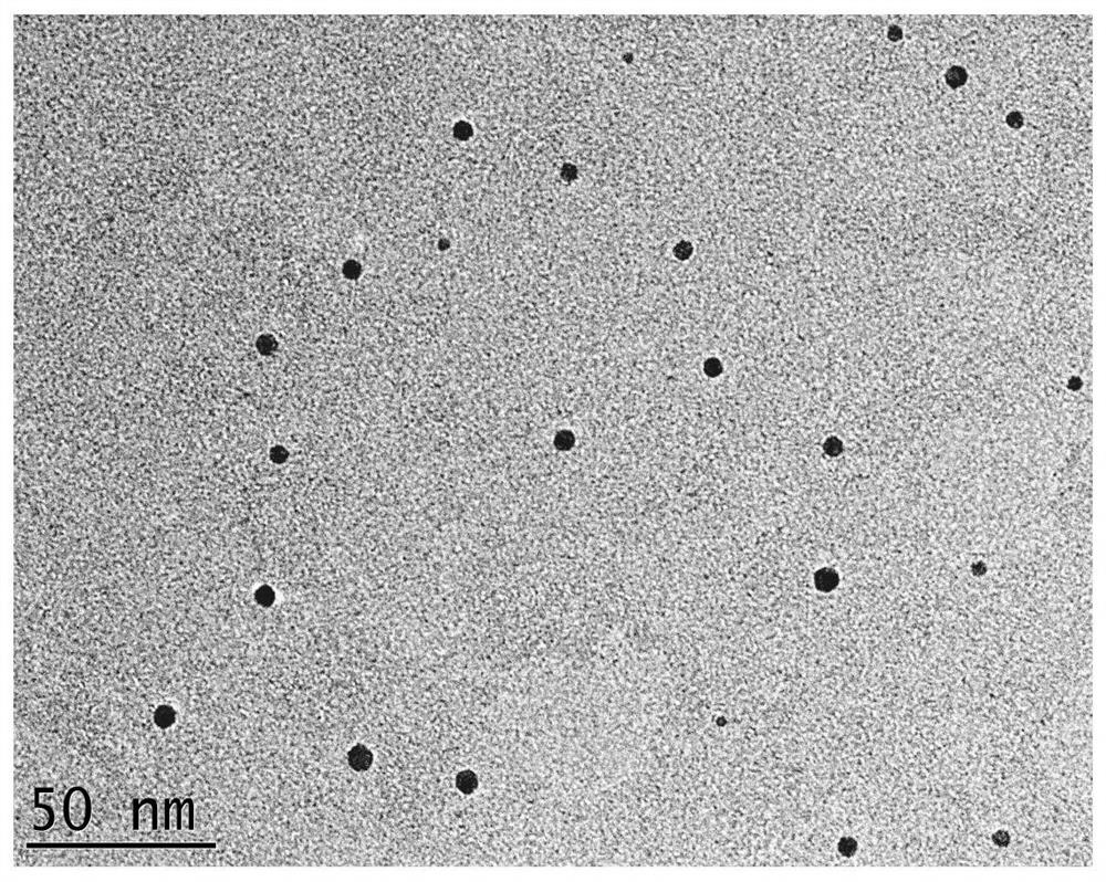 Preparation method of lignin-based carbon nano enzyme with enzyme-like catalytic activity