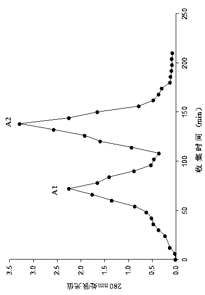 Novel intestinal mucosa anti-oxidation active peptide and preparation method thereof