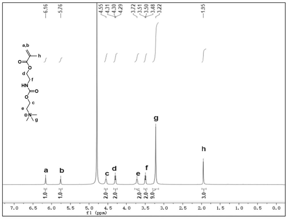 Block copolymer, block copolymer drug-loaded micelle as well as preparation method and application of block copolymer drug-loaded micelle