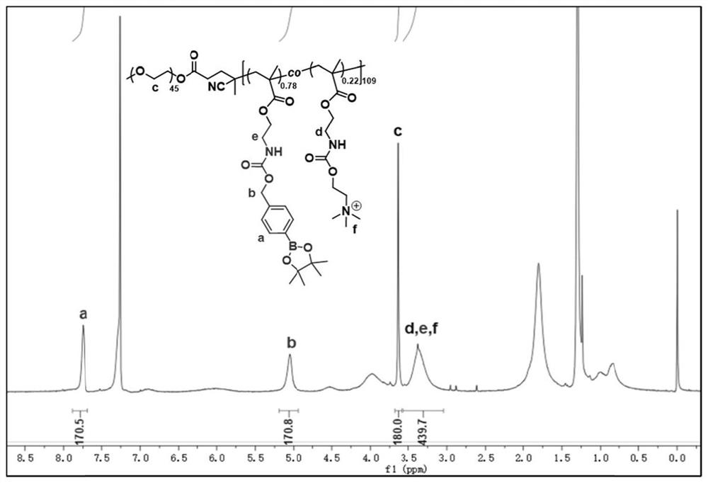 Block copolymer, block copolymer drug-loaded micelle as well as preparation method and application of block copolymer drug-loaded micelle