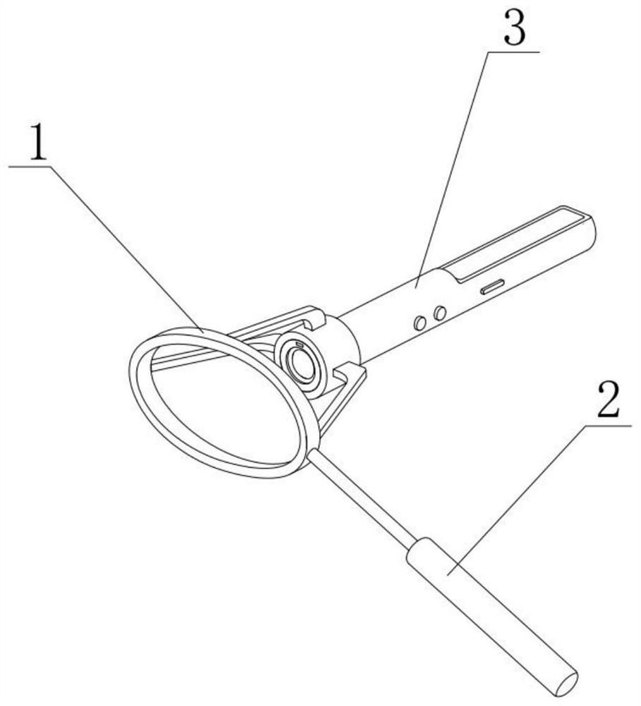 Intelligent flashlight convenient for pupil zooming-out and zooming-in examination of patient