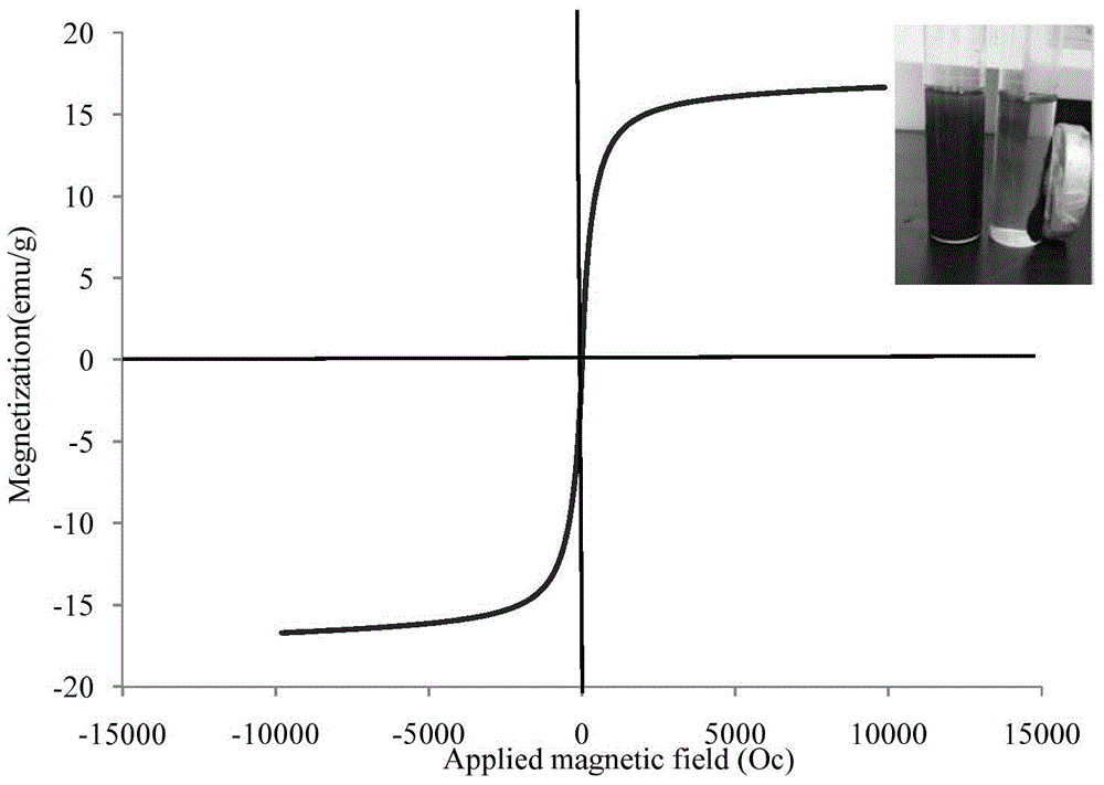 Magnetic ZnO/Fe3O4 catalyst as well as preparation method and application thereof