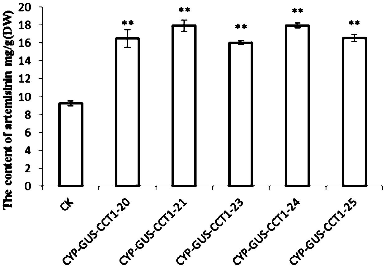 Nucleic acid sequence, carrier and method for increasing artemisinin content in Artemisia annua