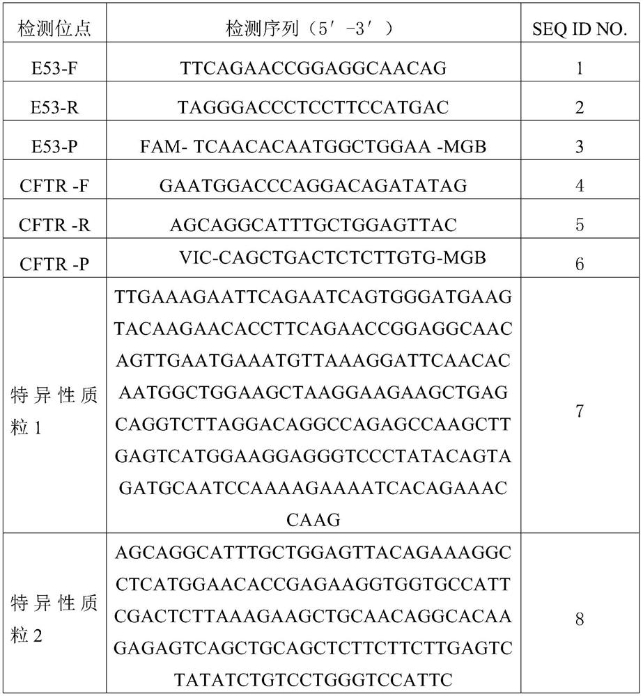 Primer, probe composition and kit for detecting exon copy number variation of human DMD gene