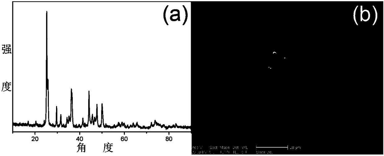 Strontium borate microparticles and preparation method thereof