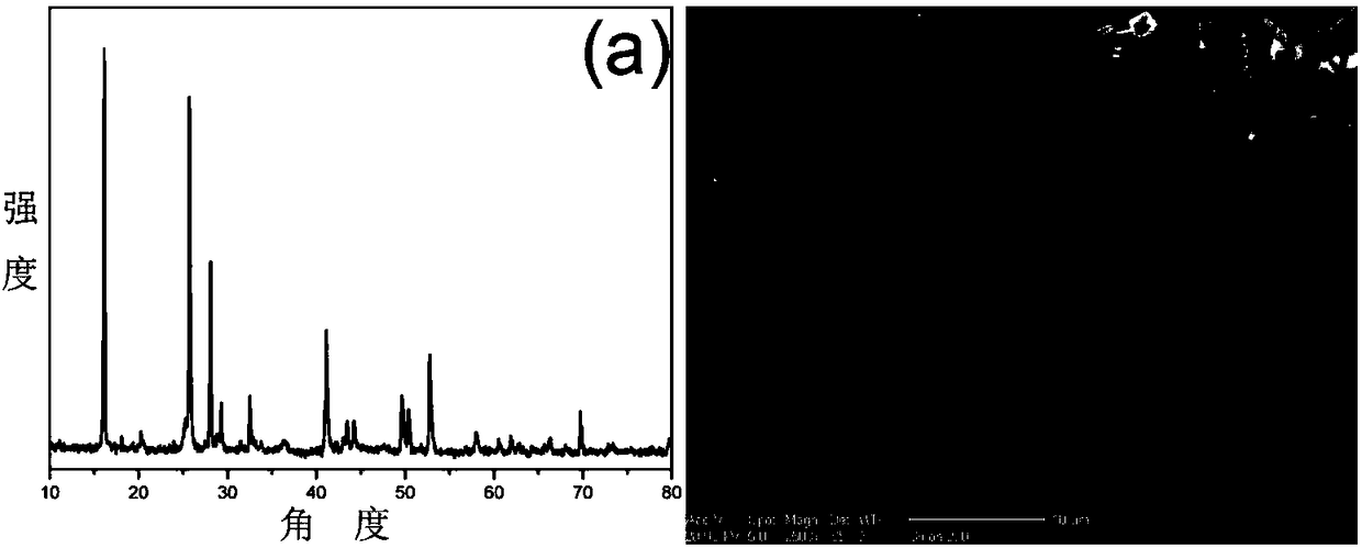 Strontium borate microparticles and preparation method thereof