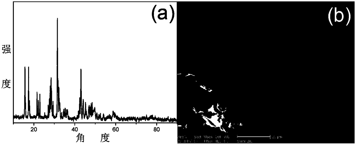 Strontium borate microparticles and preparation method thereof