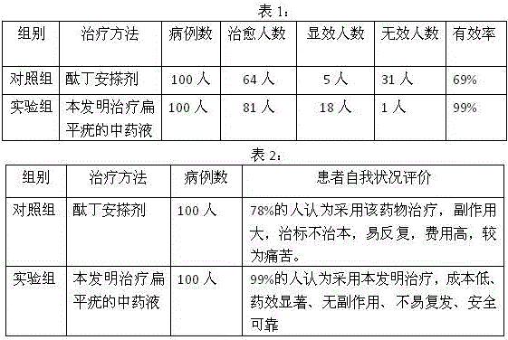 Liquid traditional Chinese medicine for treating verruca plana and preparation method thereof