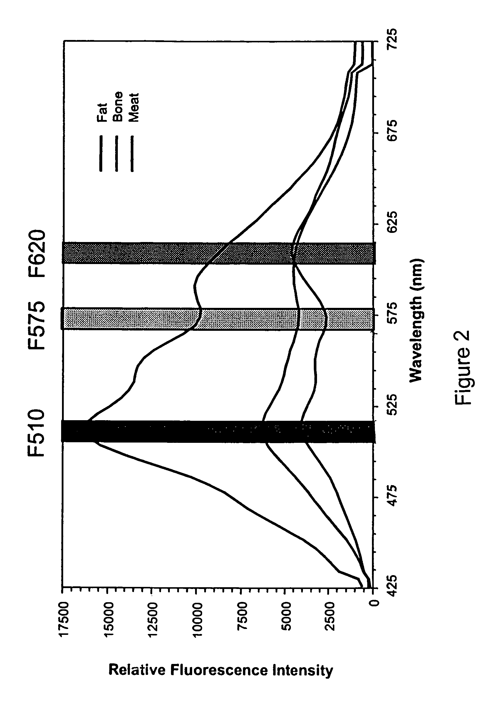 Method to detect bone fragments during the processing of meat or fish