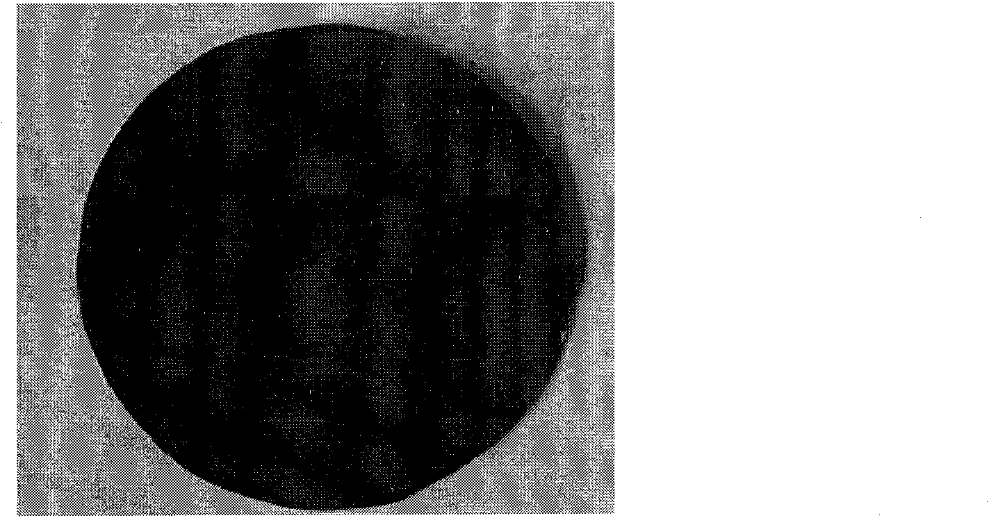 Preparation method and application of carboxylated single-walled carbon nanotube-alginic acid solid phase extracting disk