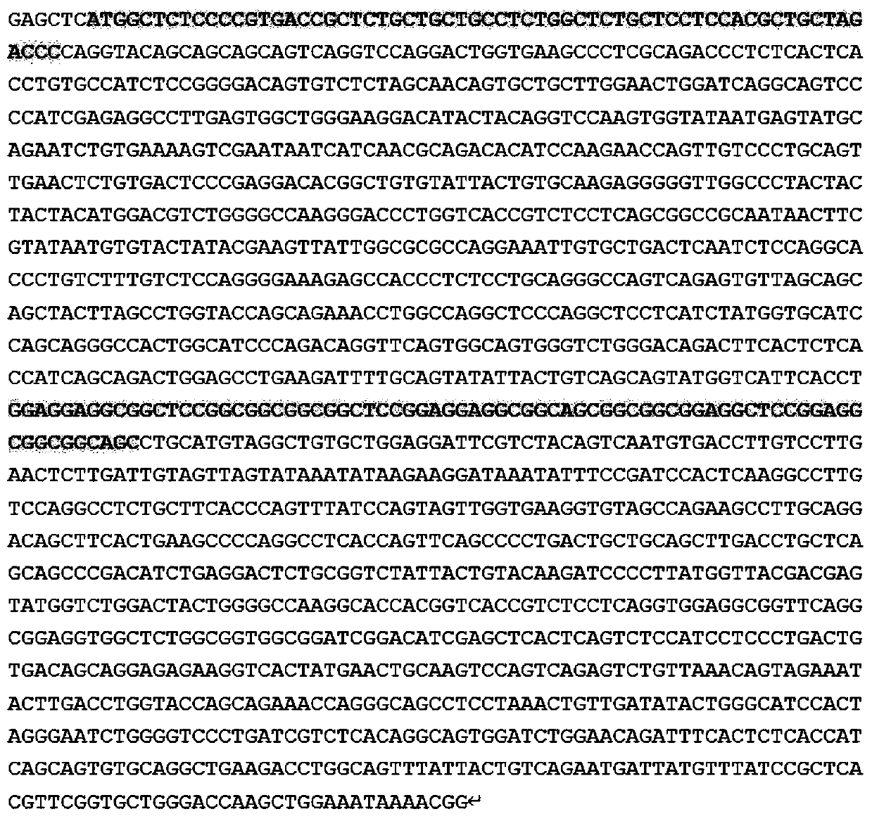 Vector containing double-target chimeric antigen receptor gene, CAR-T cell and application of CAR-T cell