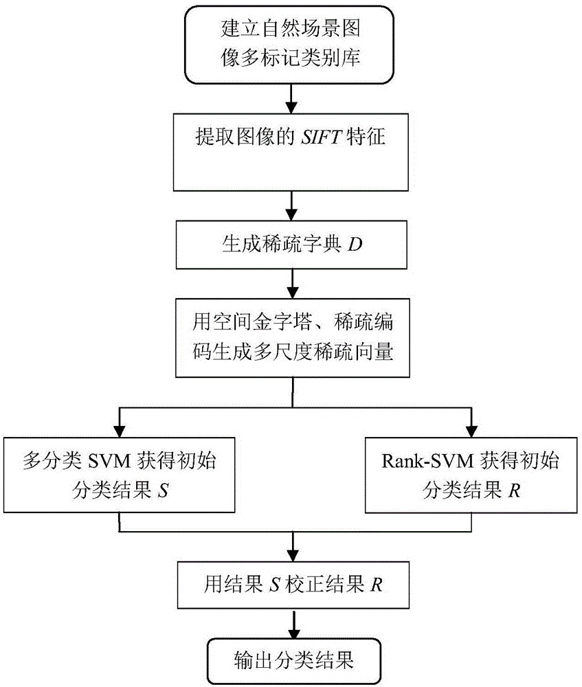 Multi-label natural scene classification method based on spatial pyramid and sparse coding