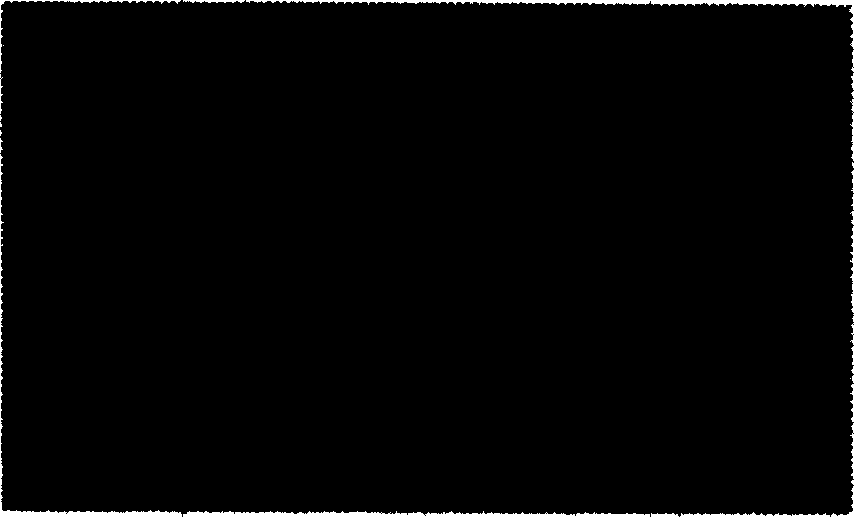 Application of cepharanthine in preparing medicine for resisting SARS virus