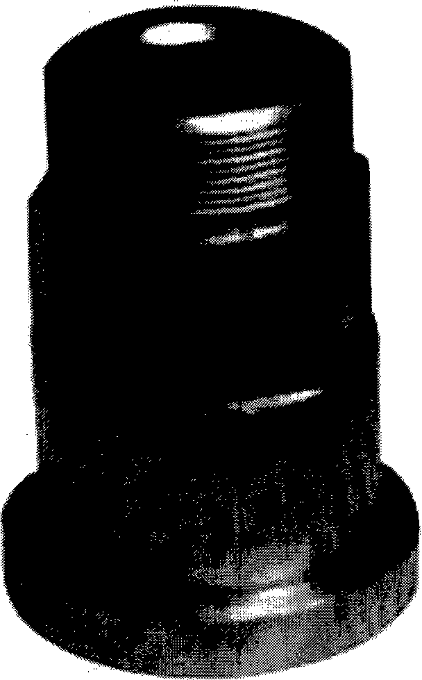 Austenite ductile iron with low nickle content and high manganses and chromium content and technology thereof