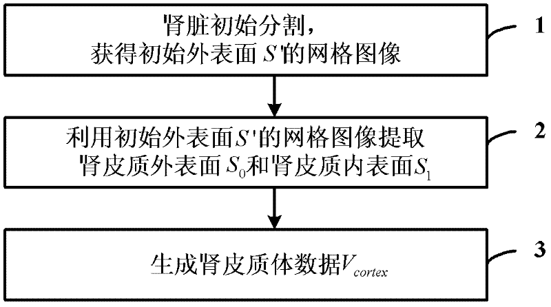 Method for segmenting renal cortex images