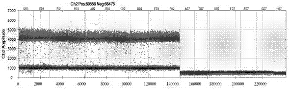 Primer probe, kit and method for accurate and quantitative detection of internal standard of transgenic rice