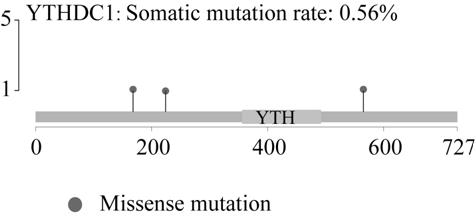 Genetic markers for pancreatic cancer screening