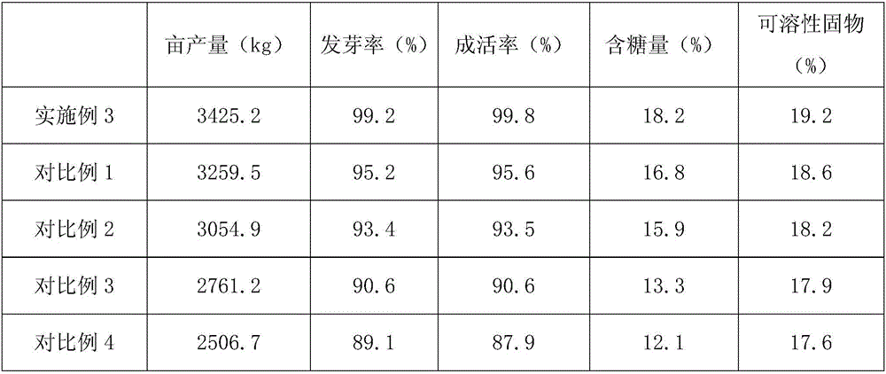 Muskmelon planting method